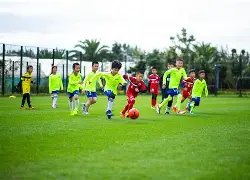 罗伊斯制胜,球助多特,击败勒沃库,幸运飞艇,彩票平台,在线投注,高频彩票,中奖机会