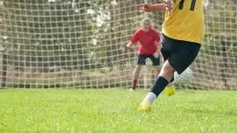 武汉三镇足球俱乐部：中超球场揭秘之旅