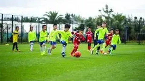 罗伊斯制胜球助多特1-0击败勒沃库森，阿德耶米伤退赛场